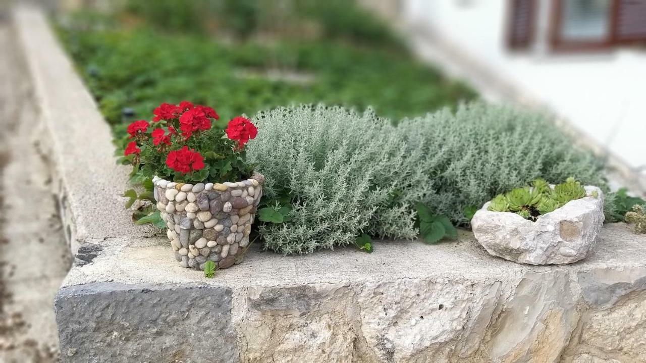 Apartmani Ante Jasenice  Bagian luar foto